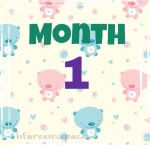 Reflections: The First Month