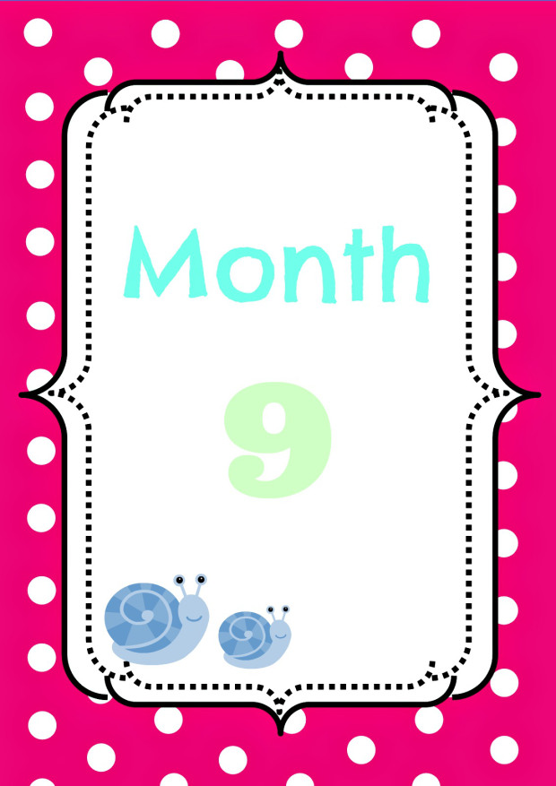 The Ninth Month