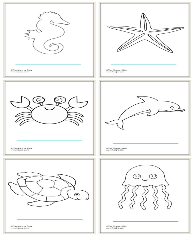sea animals - preschool colouring pages printable free