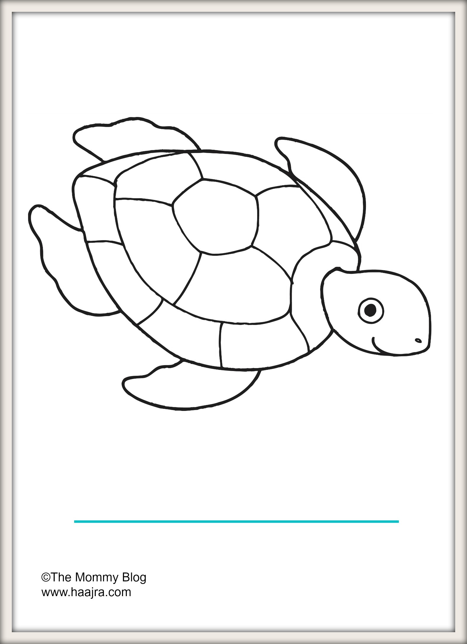 sea animals turtle preschool colouring pages printable free The