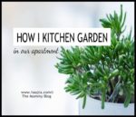 How I Kitchen Garden In Our Apartment